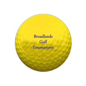 Golf related fundraiser, colored golf balls with logo capture attention #1003-col
